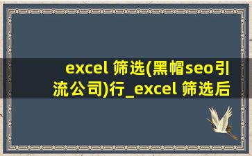 excel 筛选(黑帽seo引流公司)行_excel 筛选后怎么求和